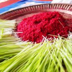 दसैँ टीकाको साइत साैर्वजानिक, कुन देशमा कहिले ?