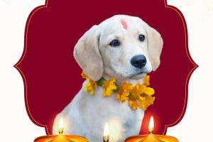 आज कुकुर तिहार अर्थात नरक चतुर्दशी