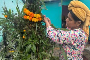 आज हरिबोधिनी ठूली एकादशी : तुलसीको विवाह