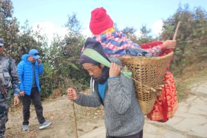 बोकेरै पाथीभराको दर्शन गराउँछन् भरिया