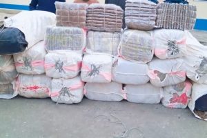 रतुवामाईमा ट्रककाे डालामा भेटियाे ६७८ केजी गाँजा : दुई जना पक्राउ