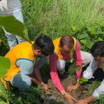 सेश नारायण दिव्यधाममा लायन्स क्लबहरूको संयुक्त वृक्षरोपण तथा खाद्यान्न वितरण