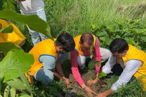 सेश नारायण दिव्यधाममा लायन्स क्लबहरूको संयुक्त वृक्षरोपण तथा खाद्यान्न वितरण