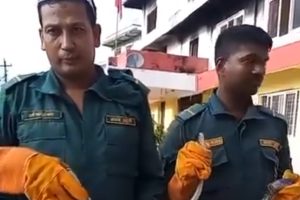 सुन्दरहरैँचामा सर्प उद्धार सेवा सुरू : नगरप्रहरीलाई जिम्मेवारी